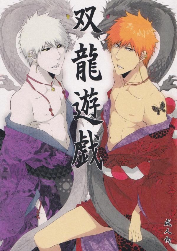 Bleach - Play of the Twin Dragons (doujinshi)